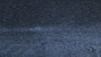David Lynch Ew GIF