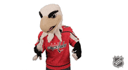 Ice Hockey Reaction GIF by NHL