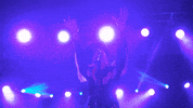 Sub Pop Cowboy GIF by Sub Pop Records
