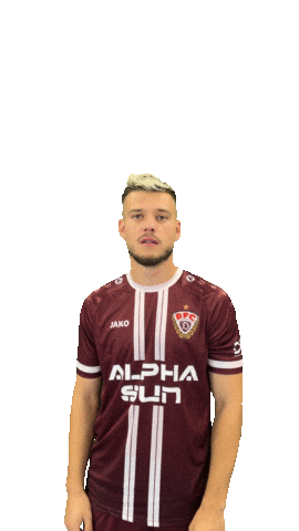 Pst Knezevic Sticker by BFC Dynamo