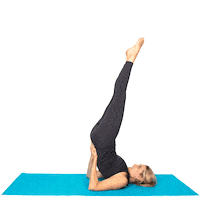 St Louis Stl Sticker by Boom Pilates