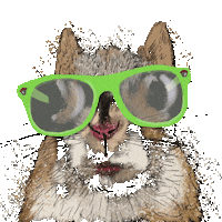Sunglasses Sticker