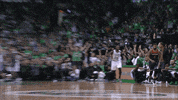excited boston celtics GIF by NBA