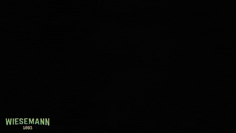 GIF by WIESEMANN 1893