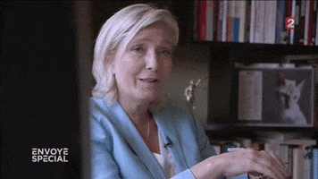 marine le pen GIF by franceinfo
