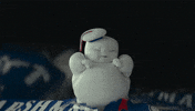 Stay Puft Finnwolfard GIF by Ghostbusters