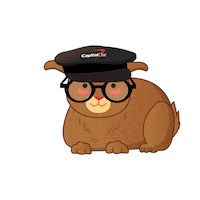 March Madness Basketball Sticker by Capital One