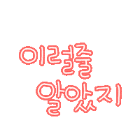 도아야콩딱 Sticker