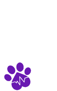 Pet Sticker by PetNosso
