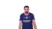 Happy Ferran Sole Sticker by Paris Saint-Germain Handball