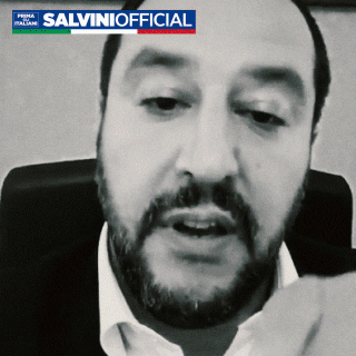 MatteoSalviniFan giphyupload salvini salvinigif salviniofficial GIF
