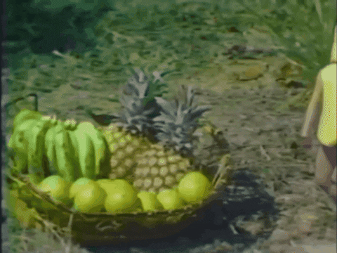 Run Away Special Effects GIF by US National Archives