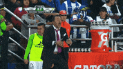 ay GIF