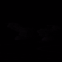 Reso Falter GIF by RSNZRFLXN