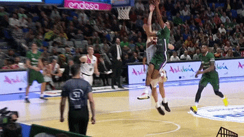 Liga Endesa Basketball GIF by ACB