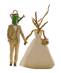 campfimfo wedding bride groom bouquet Sticker