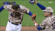 flores seeds GIF by MLB