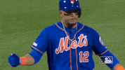 excited lets go GIF by New York Mets