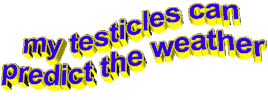3d words my testicles can predict the weather Sticker by AnimatedText