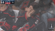 Stanley Cup Playoffs No GIF by NHL