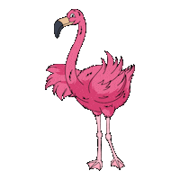 SchillingCider wave tropical chilling flamingo Sticker