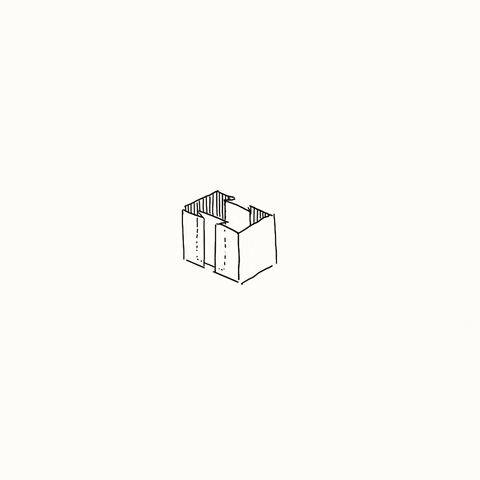 Evolution GIF