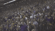 Happy Lets Go GIF by LSU Tigers