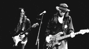 jeff ament GIF by Pearl Jam