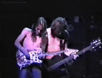 jeff ament GIF by Pearl Jam