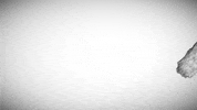 Film Photography GIF by 3KOMMA3 Medienproduktion