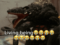 Son Living GIF