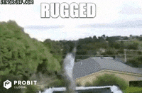 Dog Crypto GIF by ProBit Global