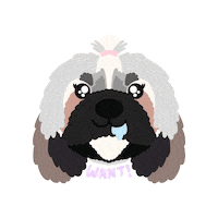 Shihtzus Want Sticker