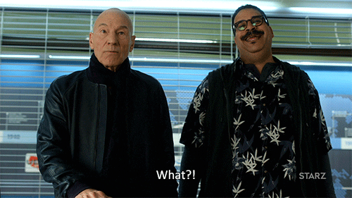 angry season 2 GIF by Blunt Talk