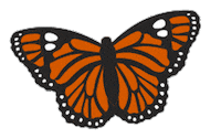 Flying Monarch Butterfly Sticker by Erstwilder