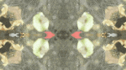 Art Love GIF by jorgemariozuleta