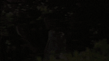 Season 15 Episode 10 GIF by The Bachelorette