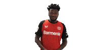 Bayer Leverkusen Cheering Sticker by Bundesliga
