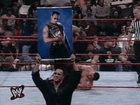 the rock wrestling GIF by WWE