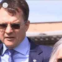 Hair Winner GIF by World Horse Racing