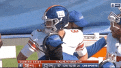 Regular Season Football GIF by NFL