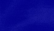 Fish Tank GIF by Jeopardy!