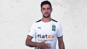 Lars Stindl Bundesliga GIF by Borussia Mönchengladbach