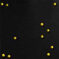 cartoon network design lab GIF