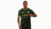 Portland Timbers Badge GIF by Timbers