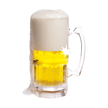 National Beer Day Sticker by imoji