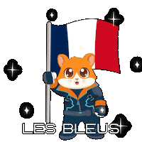 France Football Sticker by Hamieverse