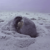 blast off space GIF by OctoNation