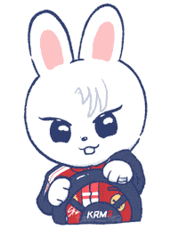 tsel__sea stray kids skz karma lee know Sticker