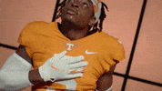 Football Sec GIF by Tennessee Athletics